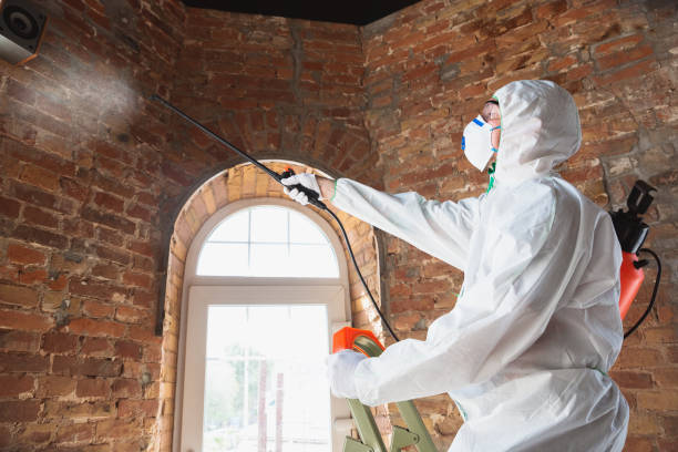 Best Environmental Consulting for Mold Prevention  in Wells, MN